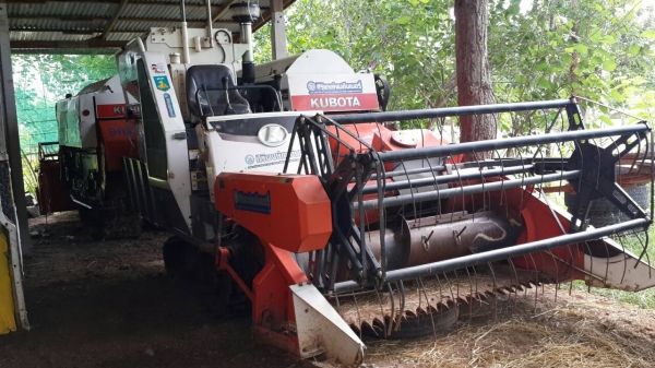 ขายรถเกี่ยวข้าว คูโบต้า แพ็คคุ่ DC60 สภาพพร้อมใช้งาน เครื่องดี ใช้งานทุกปี ช่วงล่างดี ตู้สีดี