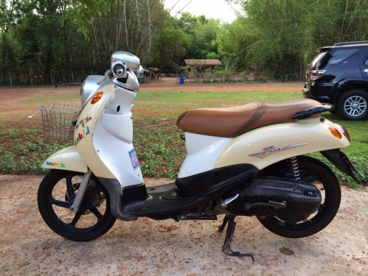 ขาย ฟีโน่เดิม ๆ