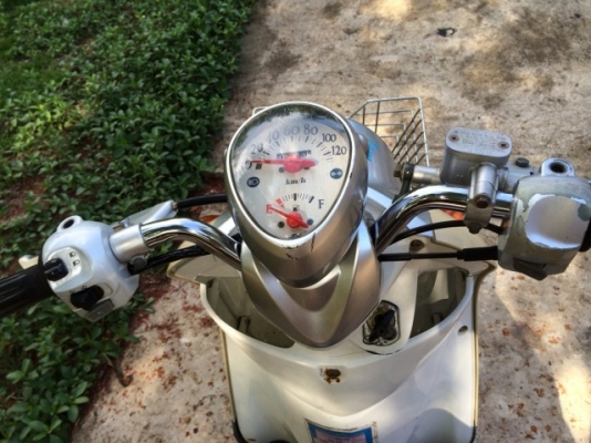 ขาย ฟีโน่เดิม ๆ