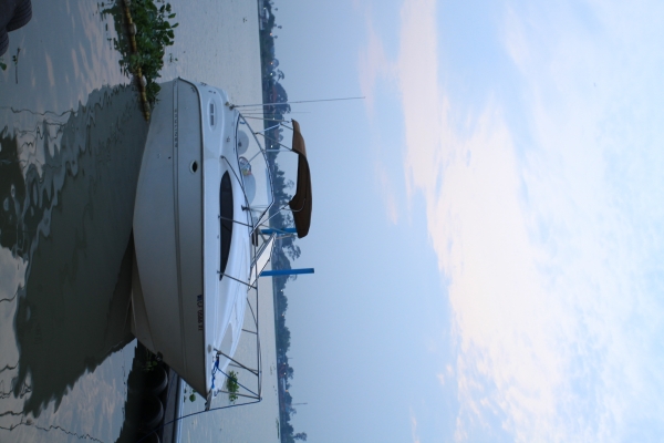 ขาย Bayliner 2455