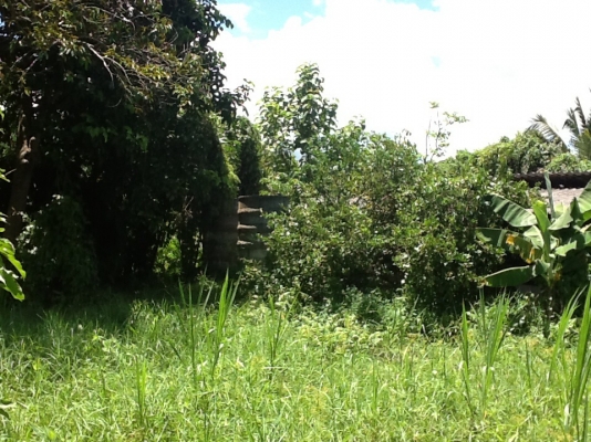 ขายที่ดิน ขายที่ดิน