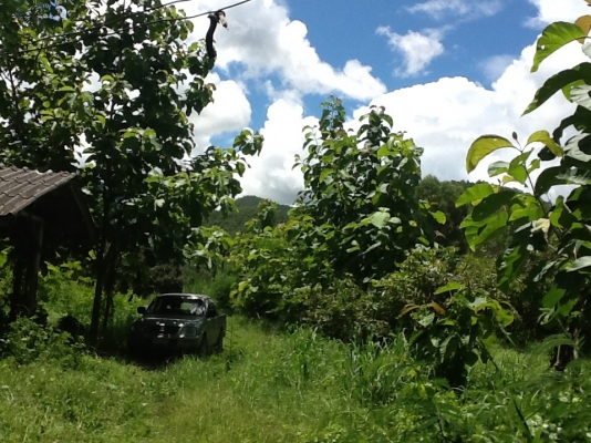 ขายที่ดิน ขายที่ดิน