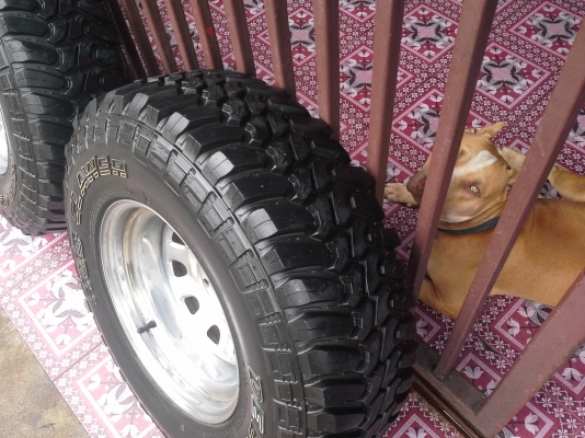 ล้อRock crawler15x8et-34พร้อมยางDeestone31x10.5ปี12สวยๆ ล้อRock crawler15x8et-34พร้อมยางDeestone31x10.5ปี12สวยๆ