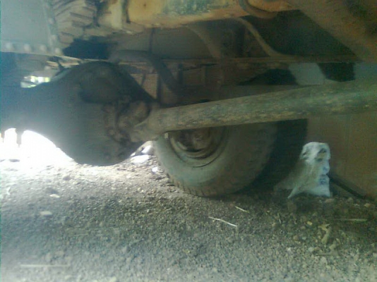 ขาย6ล้อใหญ่หน้ายาวTX เครื่อง185แรง ขาย6ล้อใหญ่หน้ายาวTX เครื่อง185แรง