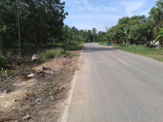 สวนยาง 8 ไร่ 2 งาน  พร้อมพื้นที่สร้างบ้าน   ฉโนดพร้อมโอน  (อ . ควนขนุน จ. พัทลุง)