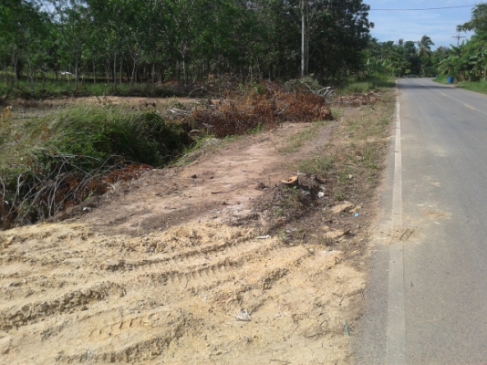 สวนยาง 8 ไร่ 2 งาน  พร้อมพื้นที่สร้างบ้าน   ฉโนดพร้อมโอน  (อ . ควนขนุน จ. พัทลุง)