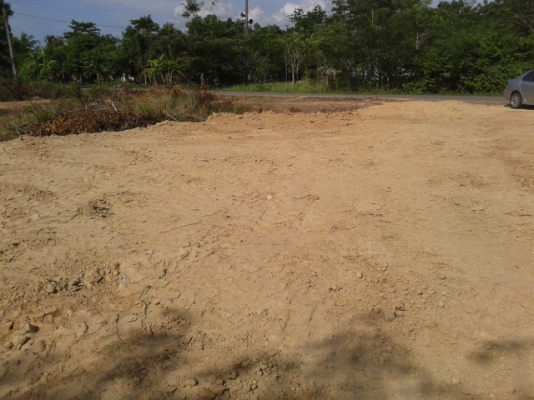 สวนยาง 8 ไร่ 2 งาน  พร้อมพื้นที่สร้างบ้าน   ฉโนดพร้อมโอน  (อ . ควนขนุน จ. พัทลุง)