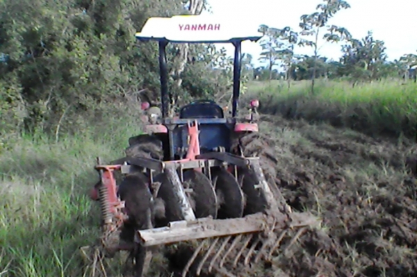 ยันม่าร์352texpq