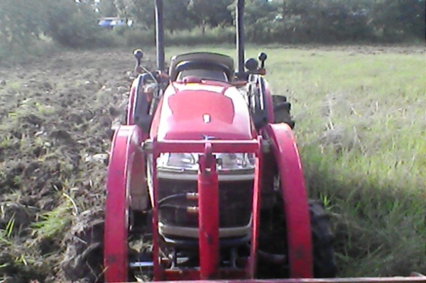 ยันม่าร์352texpq