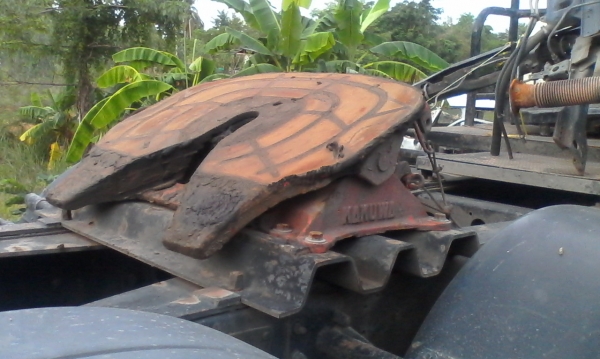 แหนบหน้า กับเพลาตามเส้นหลัง