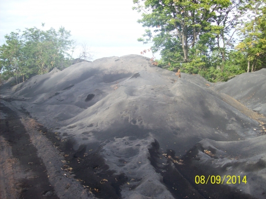 ขายขี้เถ้าแกลบ ขายขี้เถ้าแกลบ