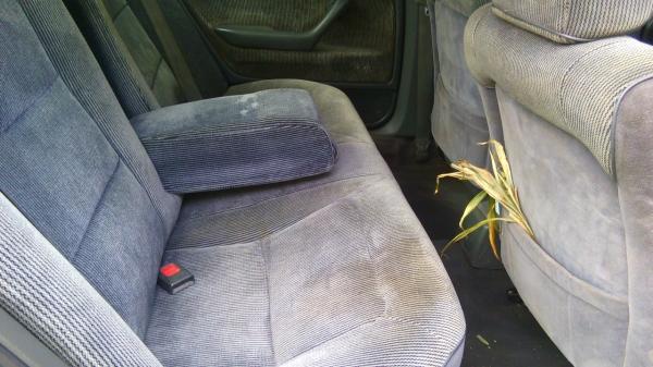 ACCORD ตาเพชร ACCORD ตาเพชร