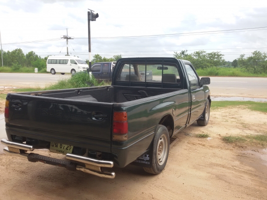 มังกรทองยอดประหยัด สวยๆ 98000