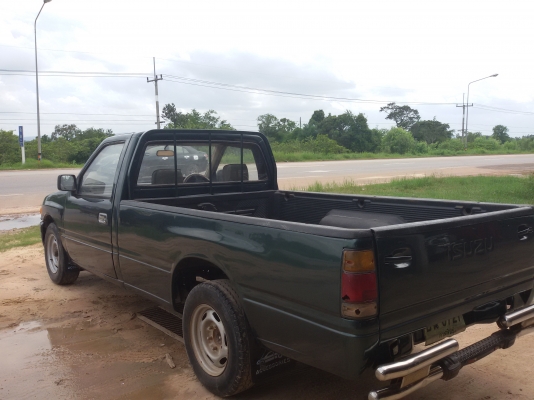 มังกรทองยอดประหยัด สวยๆ 98000