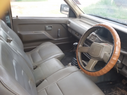 มังกรทองยอดประหยัด สวยๆ 98000