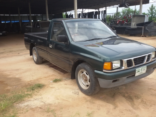 มังกรทองยอดประหยัด สวยๆ 98000