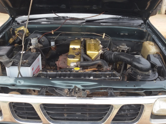 มังกรทองยอดประหยัด สวยๆ 98000