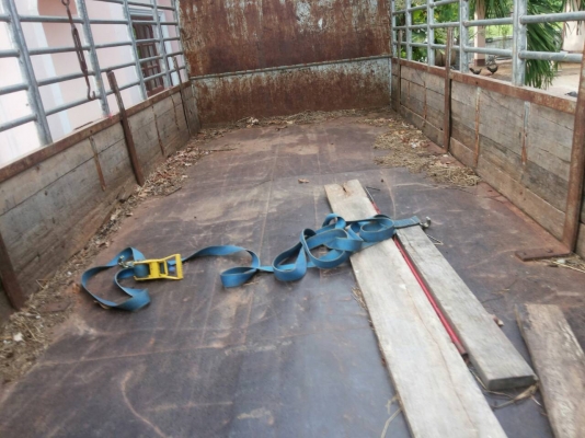 ขาย 6 ล้อ ใหญ่