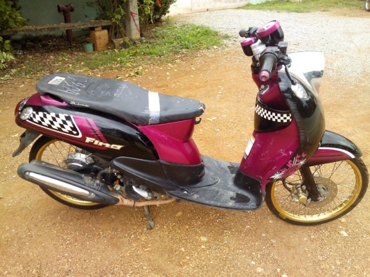 ฟีโน่เกจแยกปี54