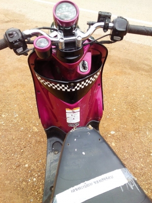 ฟีโน่เกจแยกปี54