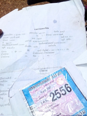 ฟีโน่เกจแยกปี54