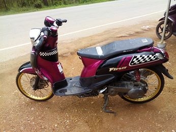 ฟีโน่เกจแยกปี54