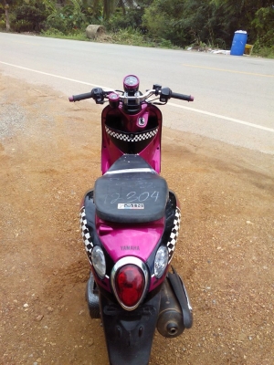 ฟีโน่เกจแยกปี54