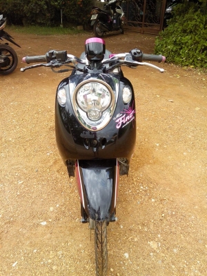 ฟีโน่เกจแยกปี54