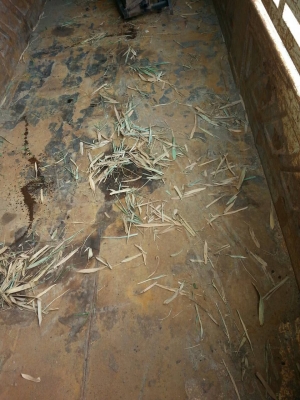 ขายกะบะ3มิตรแท้สนใจติดต่อได้ที่089-9198420