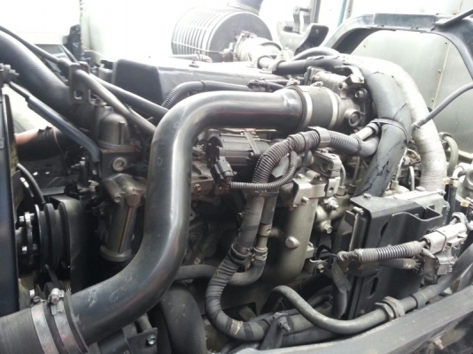 รถอีซูซุ 10 ล้อ ตู้เย็น 300 แรงม้า ปี 52   สนใจติดต่อ 081 - 6079515