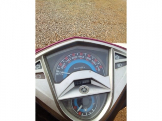 มีโอ125ปี53