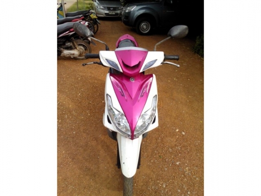 มีโอ125ปี53