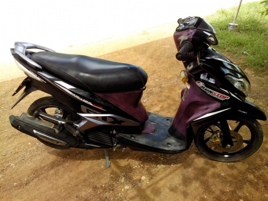 มีโอ125ปี55 ท็อป