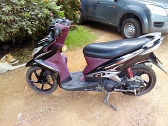 มีโอ125ปี55 ท็อป