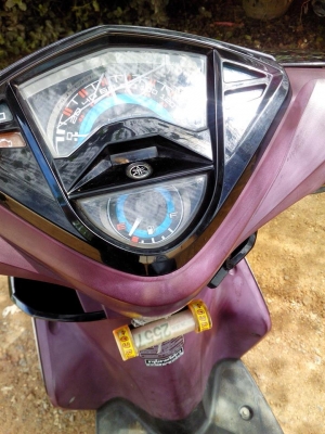 มีโอ125ปี55 ท็อป