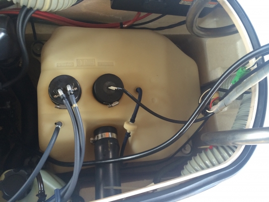 ปลาโอกรี๊บๆ ซักลำ