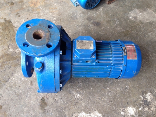 ขายปั้มน้ำหอยโข่ง Ebara 4 HP. 380 V ใบพัดเหล็กหล่อ ขนาดเข้า 2 นิ้ว ออก 1 นิ้ว สภาพดี วิ่งนิ่ม (ปั้มเคยผ่านการซ่อมแล้วนะครับ ถ้าลูกค้าต้องการเดิมๆผ่านตัวนี้ไปได้เลยครับ) พร้อมใช้งาน