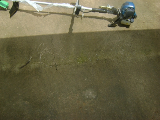 เครื่องตัดหญ้าสี่จังหวะห้าแรงม้าขาย3800