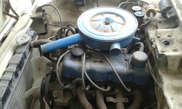 masda. famile masda. famile