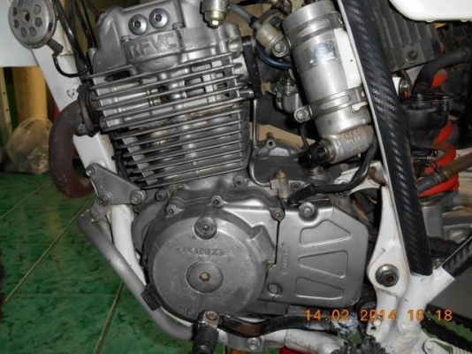 xlr250baja ปี93-94 สวยพร้อมลุย