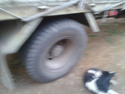 รถฮีโน่ 6 ล้อ  ( ไม่ดั้ม )   195 แรงม้า. ปี 38  สนใจติดต่อ  081 - 6079515