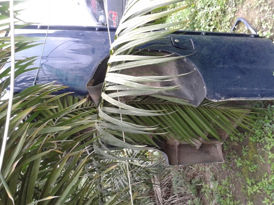 ขายอีซูซุ ดาก้อนอาย โฟร์วิล4*4ปี2001เพาเวอร์ไฟฟ้ารถไม่มีชนหนักสวยดูดี