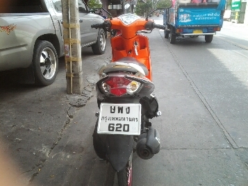 มีโอปี2552