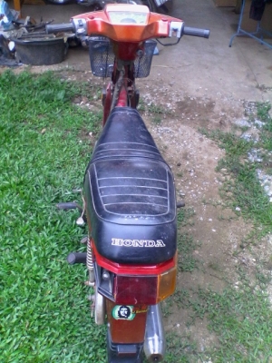 ขาย Honda คัสต้อม ขาย Honda คัสต้อม