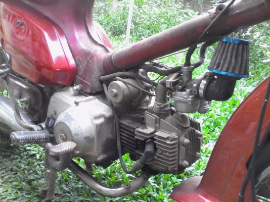 ขาย Honda คัสต้อม ขาย Honda คัสต้อม