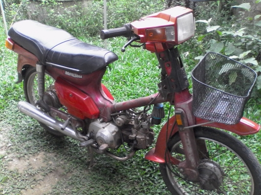 ขาย Honda คัสต้อม