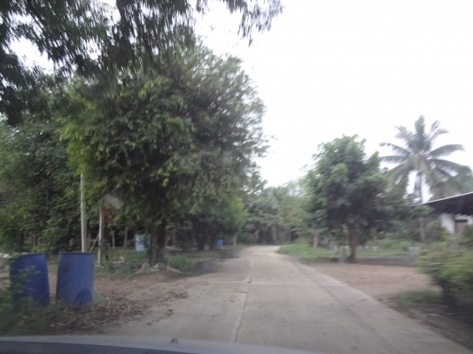 บ้านชั้นเดียว เนื้อที่มาก  ใกล้ตัวเมือง แถมรถมือสองด้วย