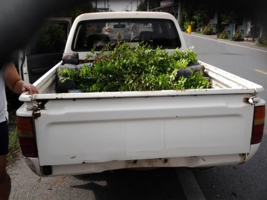 ไมตี้เอ็กซ์4ประตู เครื่องดีเซลเดิมๆครับ ไมตี้เอ็กซ์4ประตู เครื่องดีเซลเดิมๆครับ