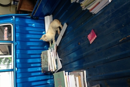 รถกระป้อไดฮัทสุรุ่นพิเศษมีแค๊ป เกียร์ออโต้ เครื่อง660 cc