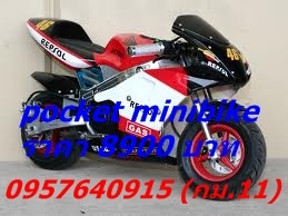 pocker minibike